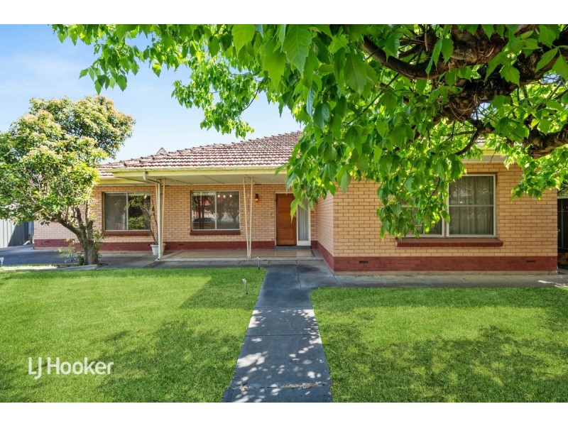 24 Alfred Street, Parkside SA 5063