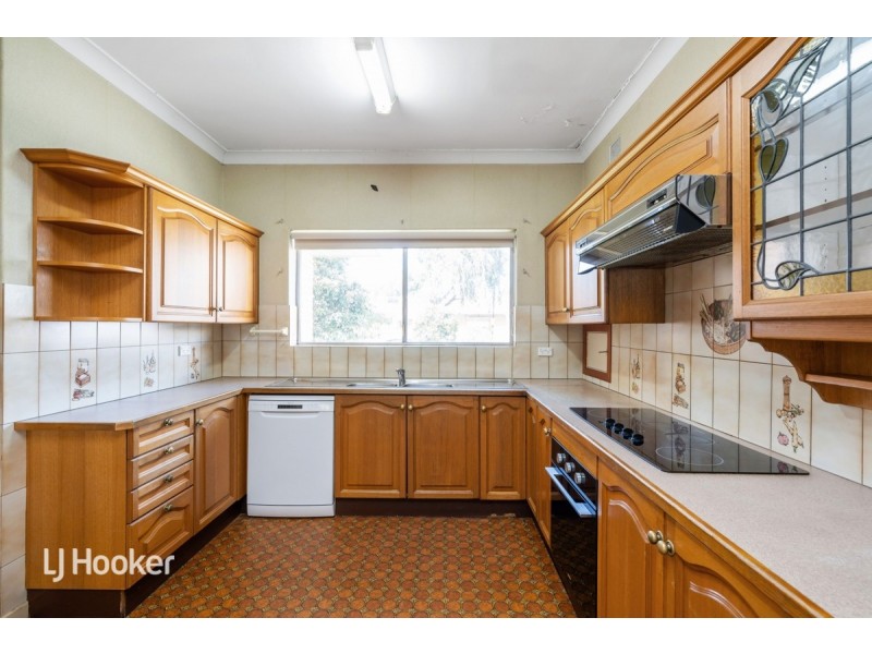24 Alfred Street, Parkside SA 5063