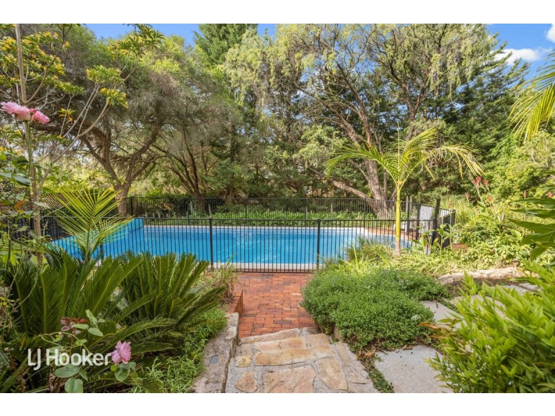 4 Pam Street, Beaumont SA 5066