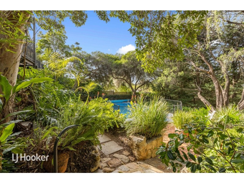 4 Pam Street, Beaumont SA 5066