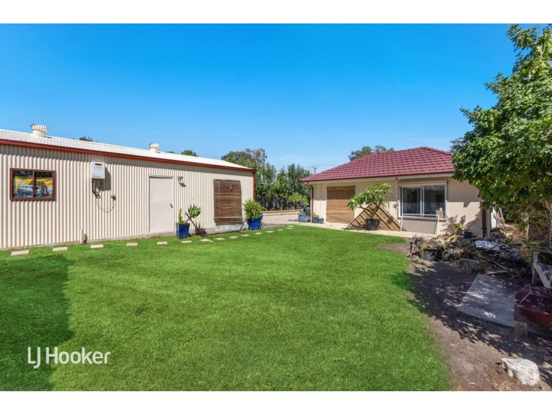 27 Cashel Street, Pasadena SA 5042