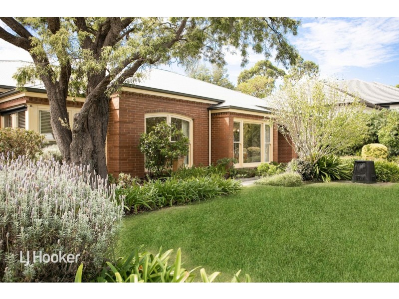 51 Stanley Street, Leabrook SA 5068