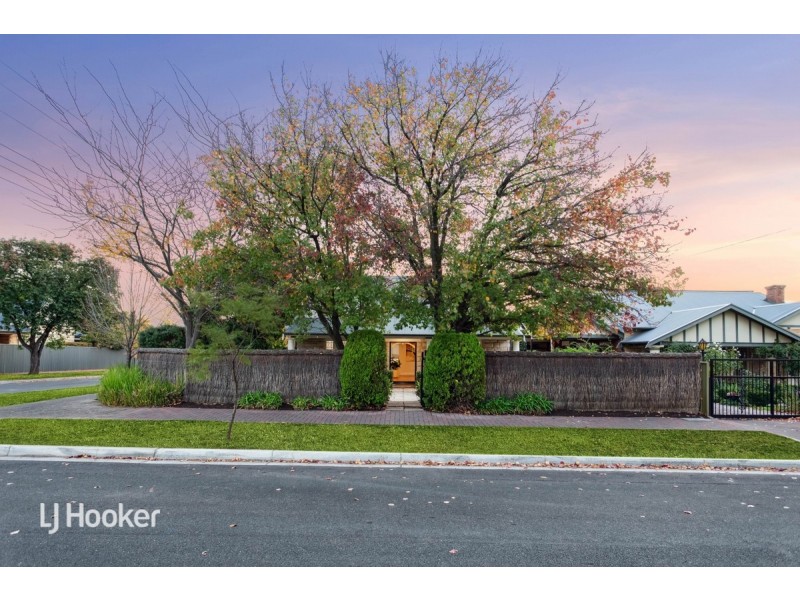 15 Lynington Street, Tusmore SA 5065