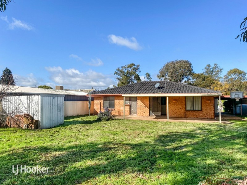 17 Carabeen Crescent, Andrews Farm SA 5114