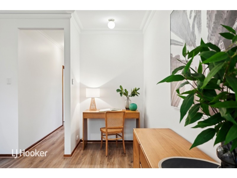 14B Balmoral Avenue, Magill SA 5072