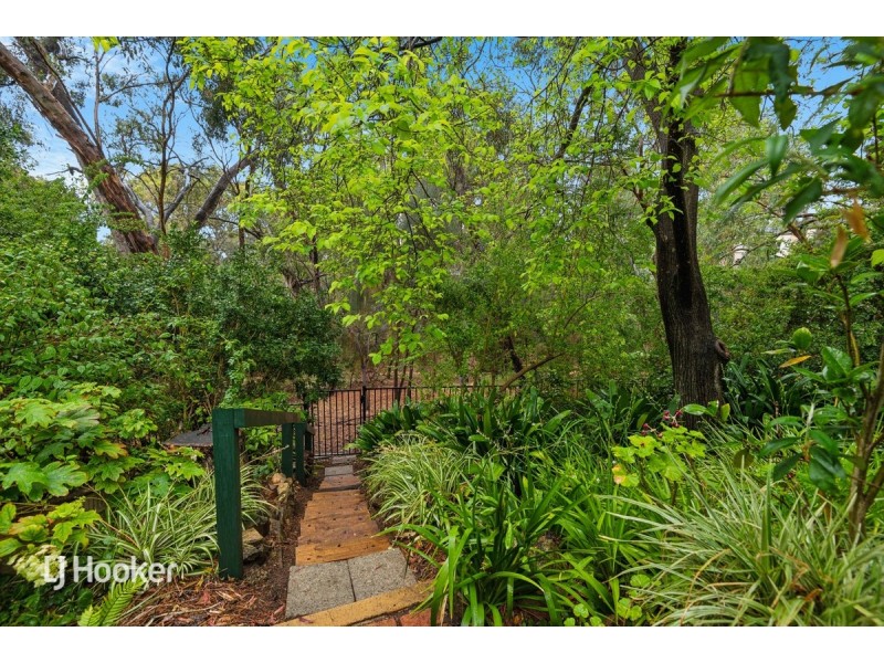 17 Queens Avenue, Burnside SA 5066