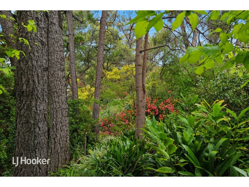 17 Queens Avenue, Burnside SA 5066