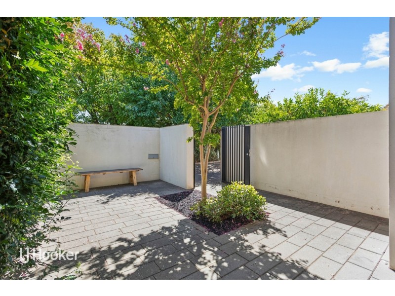 9/165 Beulah Road, Norwood SA 5067