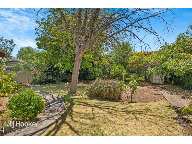 49 Highfield Avenue, St Georges SA 5064