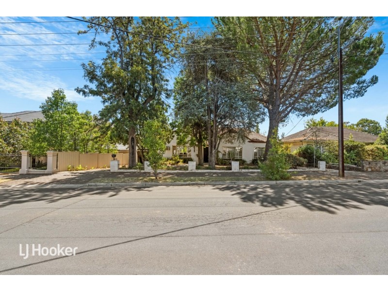 49 Highfield Avenue, St Georges SA 5064