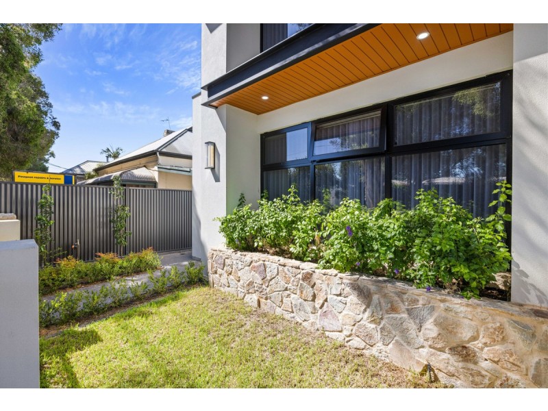29 Charles Street, Unley SA 5061