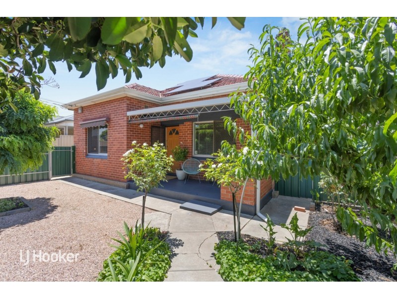 19 Need Street, Enfield SA 5085