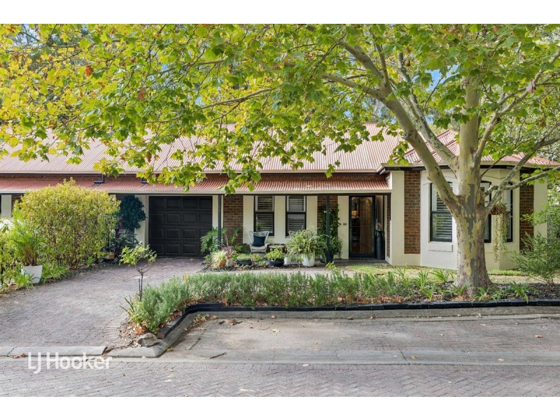 45/5 Mount Barker Road, Urrbrae SA 5064