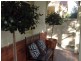 12 Brand Street, Beulah Park SA 5067