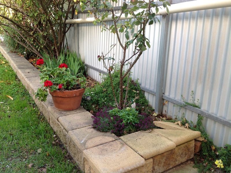 12 Brand Street, Beulah Park SA 5067