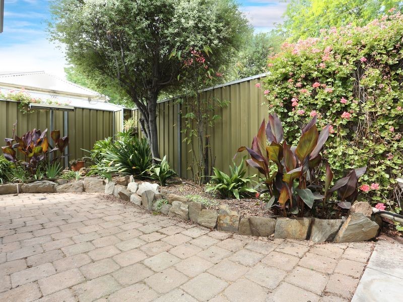 5 Wall Street, Norwood SA 5067