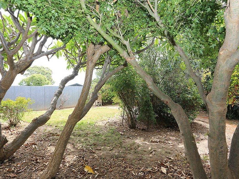 2/551 The Parade, Magill SA 5072
