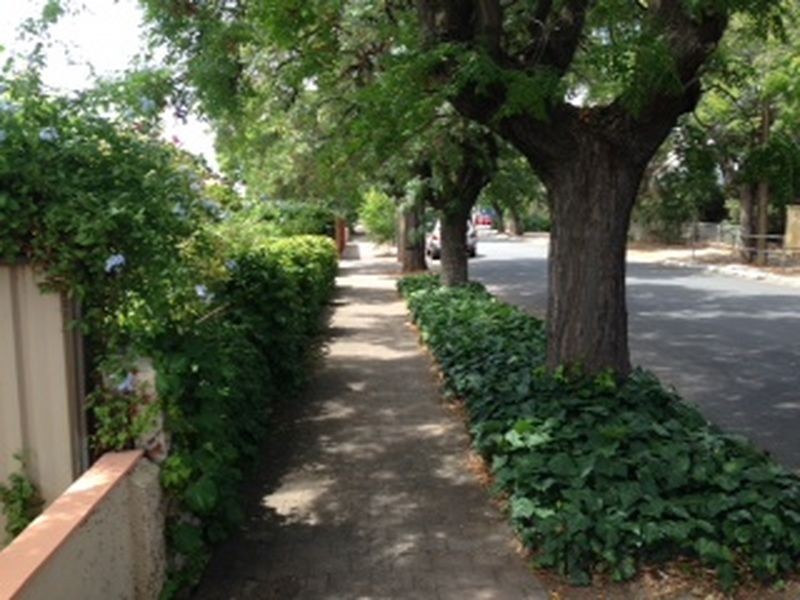 1 Marlborough Street, Westbourne Park SA 5041