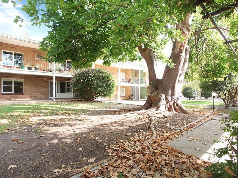 5/42 Tusmore Avenue, Tusmore SA 5065
