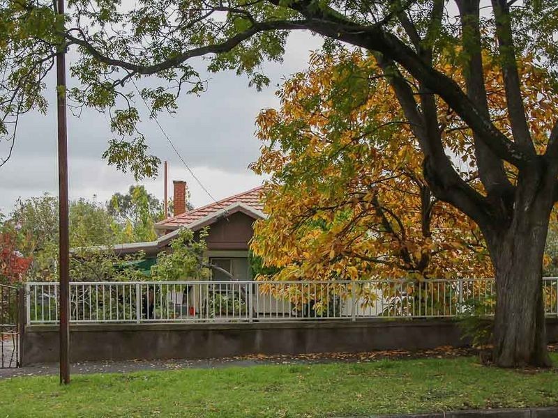 3 Young Street, Burnside SA 5066