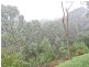 96/ Norton Summit Road, Teringie SA 5072