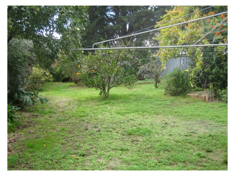 7 Radnor Avenue, Rostrevor SA 5073