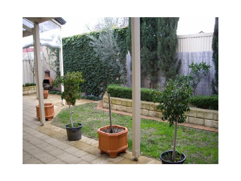 1 Glyde Street, Beulah Park SA 5067