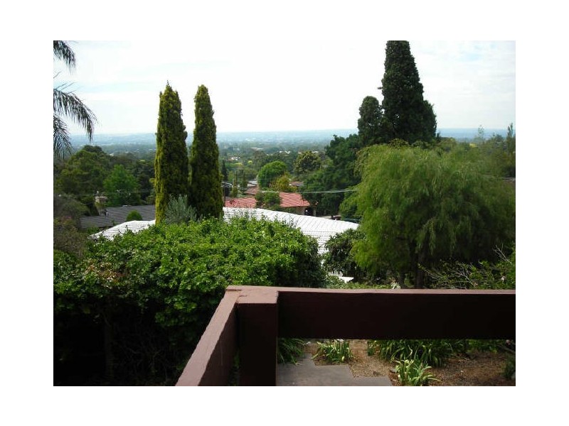 7 Clark Street, Wattle Park SA 5066