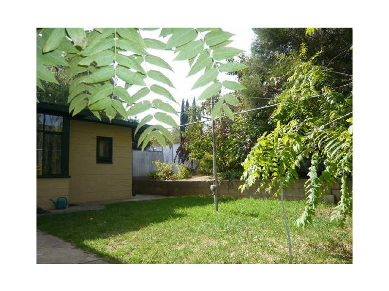 3 Osborne Street, Hackney SA 5069