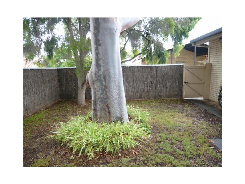 1/8 Clapton Road, Marryatville SA 5068