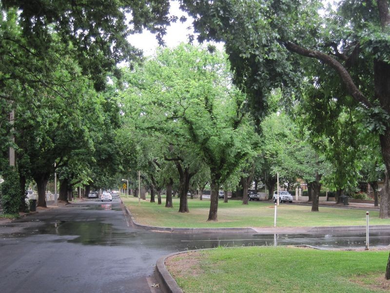 8/80 Alexandra Avenue, Rose Park SA 5067