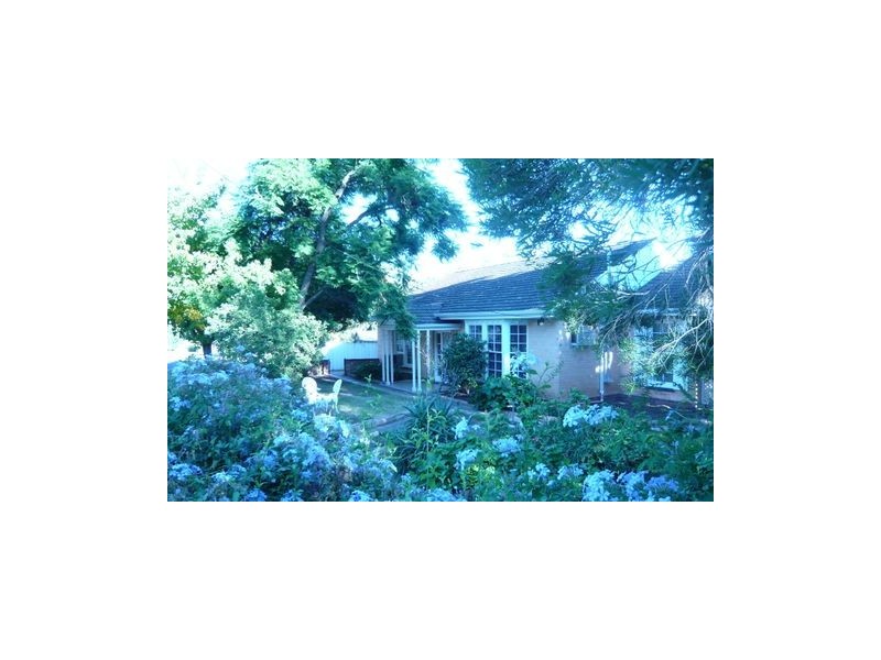 37 Brigalow Avenue, Kensington Gardens SA 5068