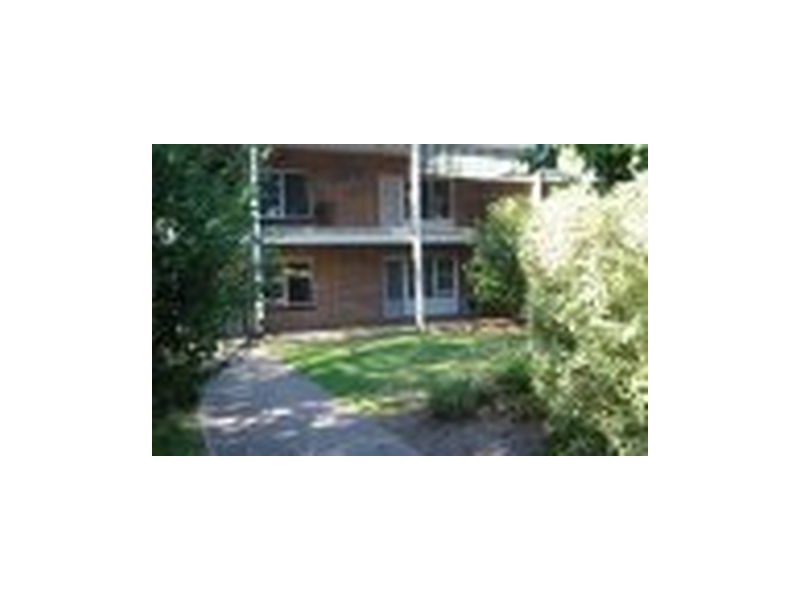 5/42 Tusmore Avenue, Tusmore SA 5065