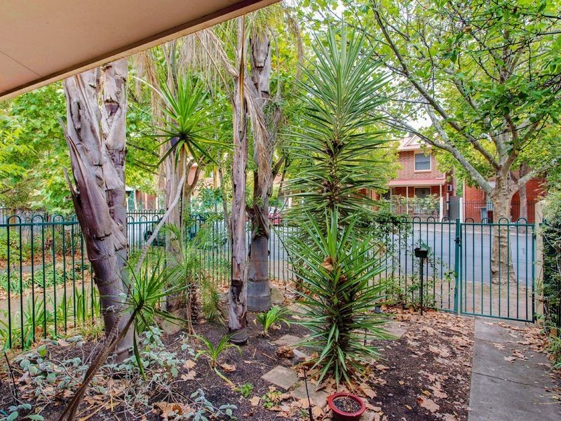 20B Clifton Street, Maylands SA 5069