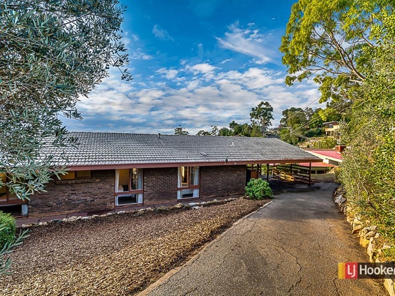 7 Clark Street, Wattle Park SA 5066