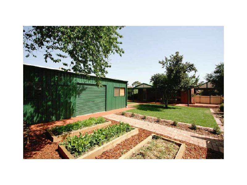 52 Avonmore Avenue, Trinity Gardens SA 5068