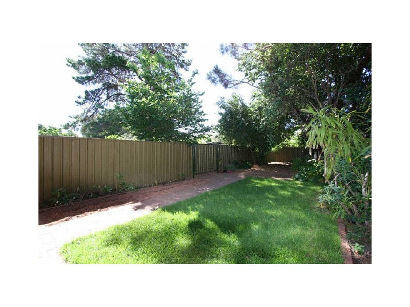 85 Swaine Avenue, Rose Park SA 5067