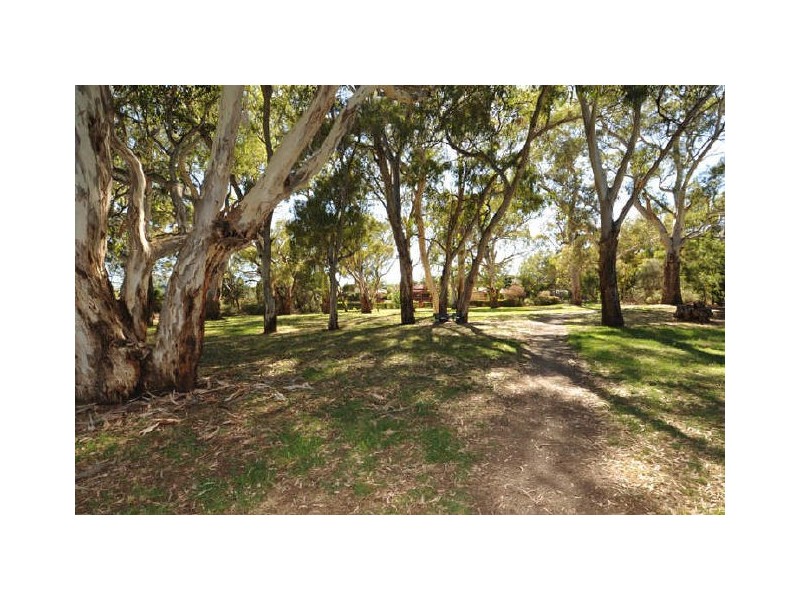 4/38 Freeman Avenue, Tranmere SA 5073