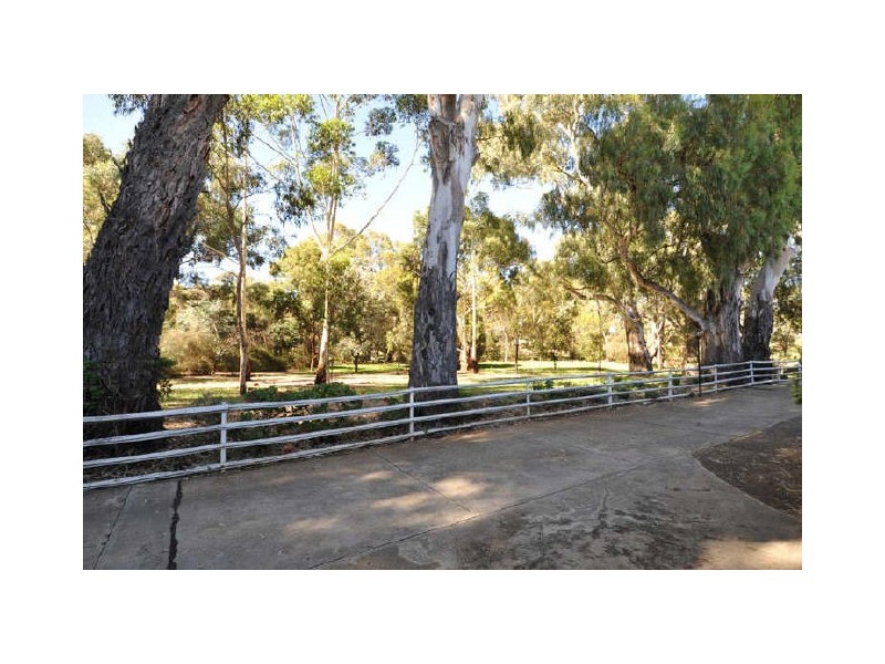 4/38 Freeman Avenue, Tranmere SA 5073