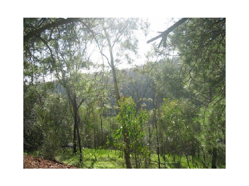 3 Haven Road, Skye SA 5072