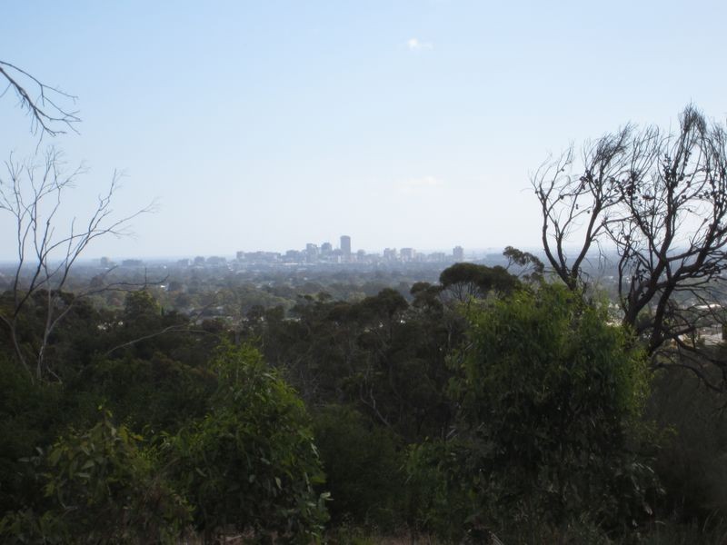 30 Grevillea Avenue, Athelstone SA 5076