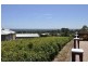 17 Mary Penfold Drive, Rosslyn Park SA 5072