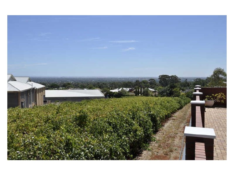 17 Mary Penfold Drive, Rosslyn Park SA 5072