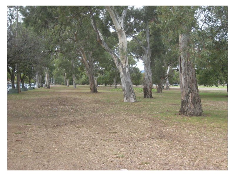 30 Louisa Street, Adelaide SA 5000
