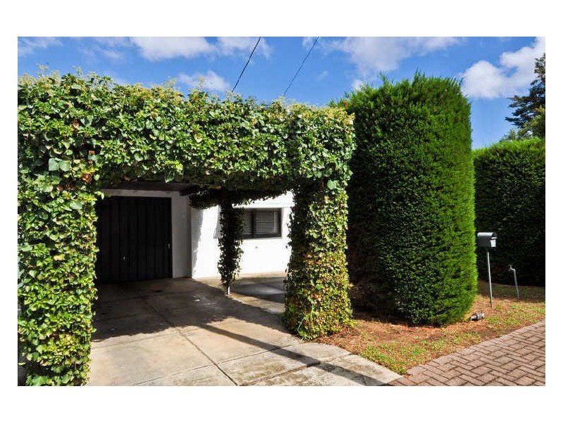 14 Burwash Road, Marryatville SA 5068