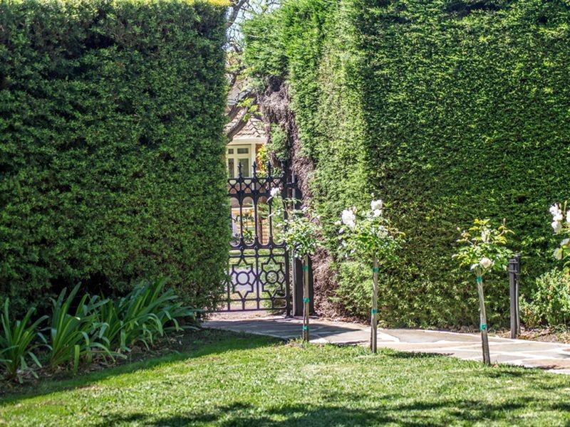 20 South Terrace, Kensington Gardens SA 5068