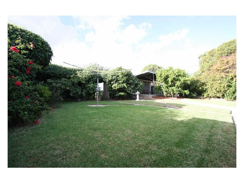 29 Hextall Avenue, Tranmere SA 5073