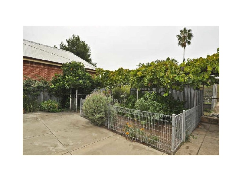 252 Portrush Road, Beulah Park SA 5067