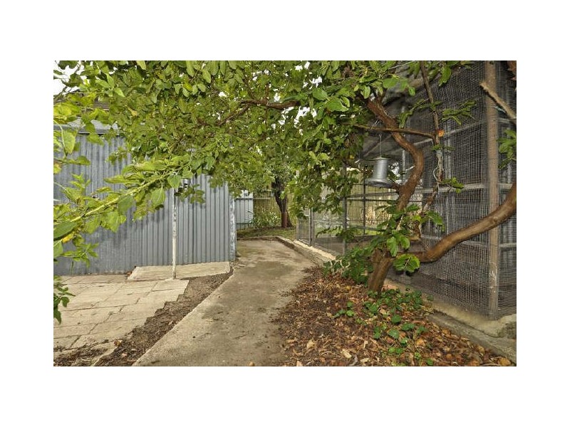 252 Portrush Road, Beulah Park SA 5067