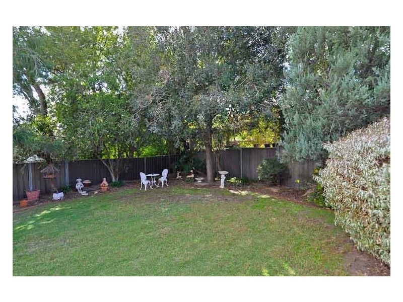 14 Buchan Avenue, Beaumont SA 5066